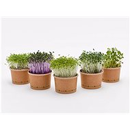 tvojefarma - Microgreens Growing Set M - 3 pcs - Microgreens Set