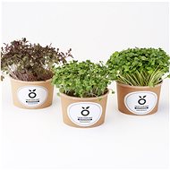 GROWN Grow kit mini - sada pro pěstování microgreens - Příslušenství pro pěstování