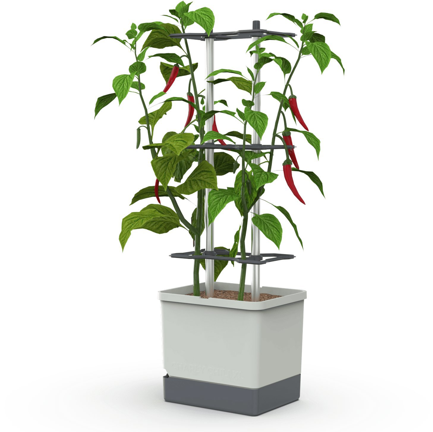 Gusta Garden CHARLY CHILI XL self-watering, light grey - Flower Box