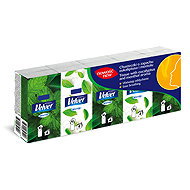 VELVET Eucalyptus (10×10 pcs) - Tissues