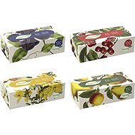 TENTO Family Ecomony box (150 pcs) - Tissues