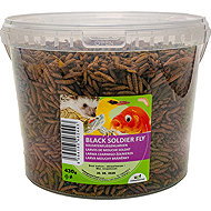 UGF Dried barley 430 g (3 l) - Bird Feed