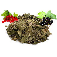 Ukrálíčka Dried Currant Leaves - 2 × 80g - Treats for Rodents