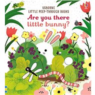 Usborne Are you there little bunny? - Sam Taplin