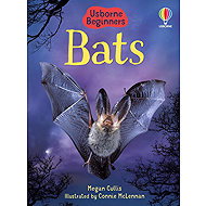 Usborne Bats - Emily Bone