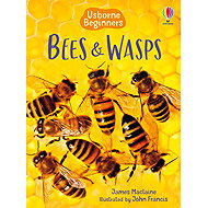 Usborne Bees & Wasps - Emily Bone