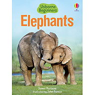 Usborne Elephants - Emily Bone