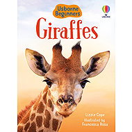 Usborne Giraffes - Emily Bone