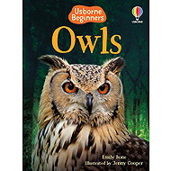 Usborne Owls - Emily Bone