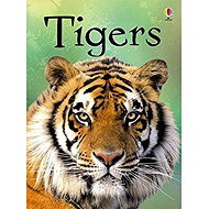 Usborne Tigers  - Emily Bone