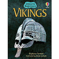 Usborne Vikings  - Emily Bone