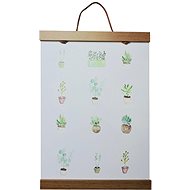 Poster Succulents - Poster