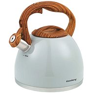 KINGHOFF Kb-7451 Kettle with whistle 3 l - Hot Water Kettle
