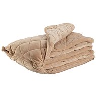 Vanilla Season Silvreta blanket and pillow 2in1 - Blanket