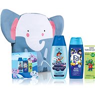 FA+SCHAUMA+VADEMECUM Christmas Bag BOY - Haircare Set