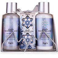 ACCENTRA Winter Wonderland in wire stand 200 ml - Cosmetic Gift Set