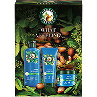 HERBAL ESSENCES Argan Repair 900 ml - Haircare Set