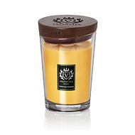 VELLUTIER Tropical Cruise 515 g - Candle