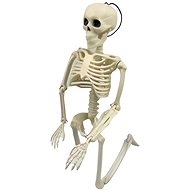 Verk Human skeleton 40 cm - Decoration