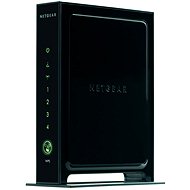 Netgear WNR3500L - WiFi Router