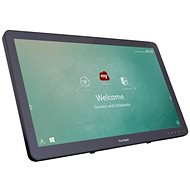 23.6" Viewsonic IFP2410-BKA-EU0 - Large-Format Display