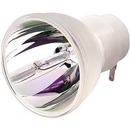 Viewsonic RLC-081 SPARE LAMP FUER PJD7333 AND PJD7533W - Replacement Lamp
