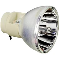 Viewsonic RLC-084 SPARE LAMP FUER PJD5483S PJD6345 PJD6544W - Replacement Lamp