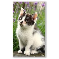 VIKPAP Weekly diary Cat 2025, 10 × 17 cm - Planner