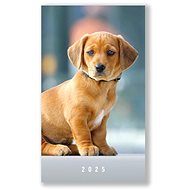VIKPAP Weekly diary Dog 2025, 10 × 17 cm - Planner
