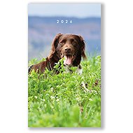 VIKPAP týdenní Pes 2026, 10 × 17 cm - Planner