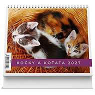 Vikpap Cats and Kittens 2027, 17.5 × 14cm - Desk Calendar