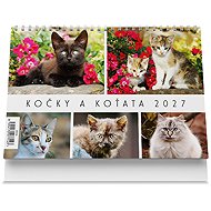 Vikpap Cats and Kittens 2027, 22 × 14.8cm - Desk Calendar