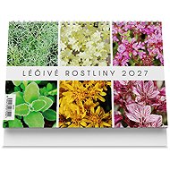 Vikpap Medicinal Plants 2027, 22 × 14.8 cm - Desk Calendar