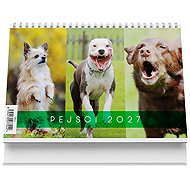 Vikpap Dogs 2027, 22 × 14.8cm - Desk Calendar