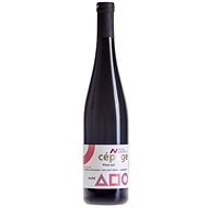 Cépage Pinot noir 2019 - Wine