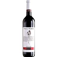 Zweigeltrebe late harvest 2016 - Wine