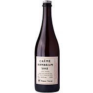 DOBRÁ VINICE Creme Kambrium 750ml - Sparkling Wine