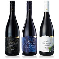 CURRANT Currants & Chokeberry 3x 0.75l Wine Set - Wine