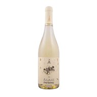 WEINGUT R&A PFAFFL Riesling Sonne 2022 0,75l - Wine