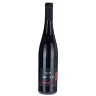 LAHOFER Dornfelder grape selection 2019 0,75l - Wine