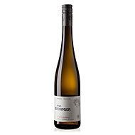 BIRGIT EICHINGER Ried Strasser Wechselberg Grüner Veltliner 2020 0,75l - Wine