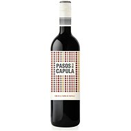 BODEGAS ABANICO Pasos de la Capula Syrah 2019 750ml - Wine