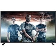 55" VIVAX 55LE75T2 - Television