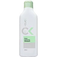 Tiande FreshClick for deep hair cleaning 250 ml - Shampoo