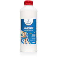 Aquarius Guanicide 1 l - Pool Chemicals