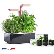 Véritable SMART - Automatic planter with light control, black copper + 4 herb refills - Smart Flower Pot