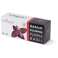 Véritable Lingot Purpur-Basilikum - BIO - Setzling