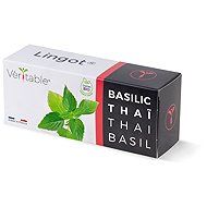 Véritable Lingot Thai basil - BIO - Seedling Planter