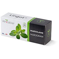 Véritable Lingot Marjoram - Organic - Seedling Planter