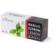 Véritable Lingot Lemon Basil - Organic - Seedling Planter